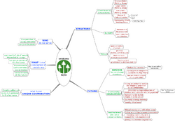 An organizational map of social.coop